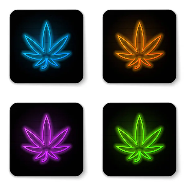 Świecący neon Medyczna marihuana lub ikona liści marihuany wyizolowana na białym tle. Symbol konopi. Czarny kwadrat. Ilustracja wektora — Wektor stockowy