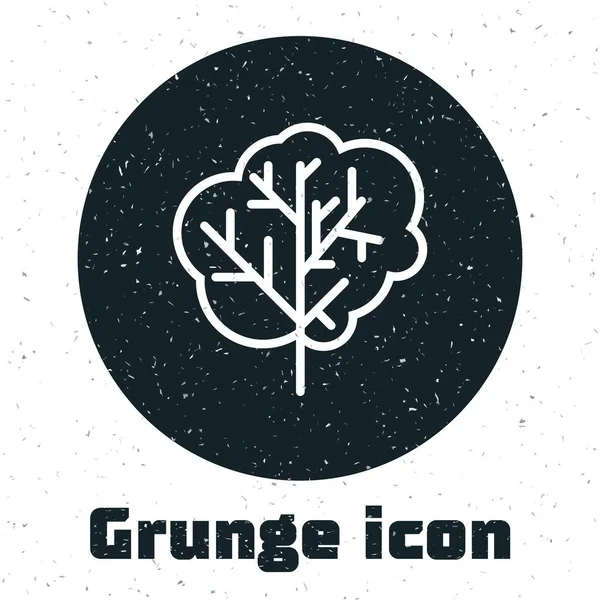 흰 배경 위에 따로 떨어져 있는 grunge 트리 아이콘. 숲의 상징. 벡터 일러스트 — 스톡 벡터