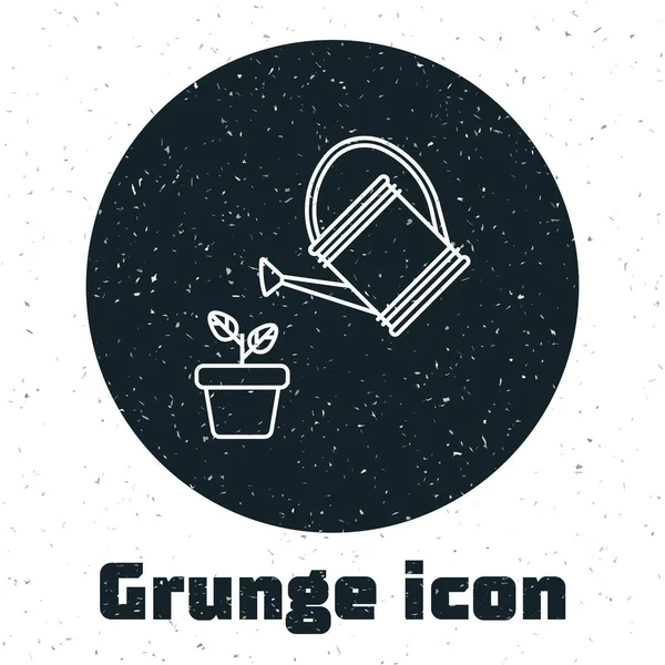 Grunge Watering puede rociar gotas de agua por encima de la planta en el icono del pote aislado sobre fondo blanco. Símbolo de riego. Ilustración vectorial — Vector de stock