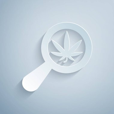 Kağıt kesiği büyüteç ve tıbbi marihuana veya gri arka planda izole edilmiş kenevir yaprağı ikonu. Kenevir sembolü. Kağıt sanatı tarzı. Vektör İllüstrasyonu