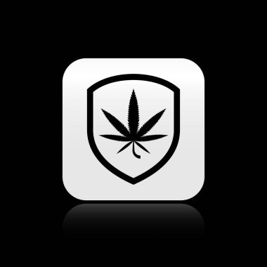 Kara Kalkan ve marihuana ya da siyah arka planda izole edilmiş kenevir yaprağı ikonu. Marihuanayı yasallaştırma. Kenevir sembolü. Gümüş kare düğme. Vektör İllüstrasyonu