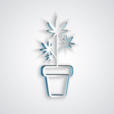 Kağıt kesiği Tıbbi marihuana veya esrar bitkisi gri arka planda izole edilmiş bir esrar ikonu. Esrar yetiştirme konsepti. Kenevir saksısı. Kağıt sanatı tarzı. Vektör İllüstrasyonu
