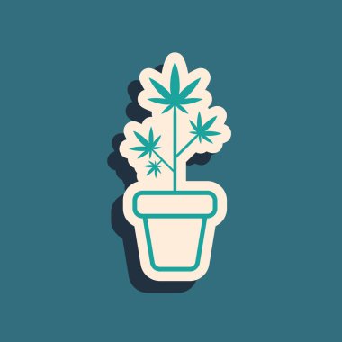 Yeşil Tıbbi marihuana ya da esrar bitkisi mavi arka planda izole edilmiş bir esrar ikonu. Esrar yetiştirme konsepti. Kenevir saksısı. Uzun gölge tarzı. Vektör İllüstrasyonu