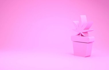 Pembe tıbbi marihuana ya da esrar bitkisi pembe arka planda izole edilmiş bir esrar ikonu. Esrar yetiştirme konsepti. Kenevir saksısı. Minimalizm kavramı. 3d illüstrasyon 3d canlandırma