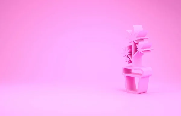 Рожева медична марихуана або рослина конопель у значку горщика ізольовані на рожевому фоні. Концепція вирощування маріхуани. Рослина з конопель. Концепція мінімалізму. 3D ілюстрація 3D рендеринга — стокове фото