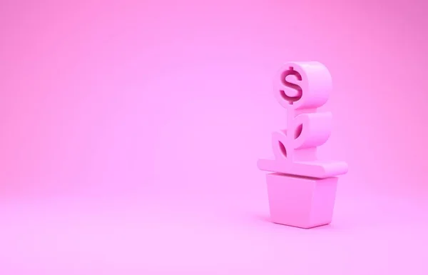 Pink Dollar φυτό στο εικονίδιο ποτ απομονώνονται σε ροζ φόντο. Έννοια της ανάπτυξης επιχειρηματικών επενδύσεων. Εξοικονόμηση χρημάτων και επενδύσεις. Μινιμαλιστική έννοια. 3D απεικόνιση 3d καθιστούν — Φωτογραφία Αρχείου