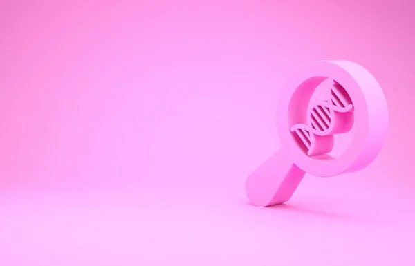 Pesquisa de DNA rosa, ícone de pesquisa isolado no fundo rosa. Ampliação de vidro e cadeia de dna. Engenharia genética, clonagem, testes de paternidade. Conceito de minimalismo. 3D ilustração 3D render — Fotografia de Stock