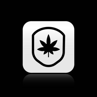 Kara Kalkan ve marihuana ya da siyah arka planda izole edilmiş kenevir yaprağı ikonu. Marihuanayı yasallaştırma. Kenevir sembolü. Gümüş kare düğme. Vektör İllüstrasyonu