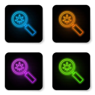 Parlayan neon büyüteç ve tıbbi marihuana veya beyaz arka planda izole edilmiş kenevir yaprağı ikonu. Kenevir sembolü. Siyah kare düğme. Vektör İllüstrasyonu