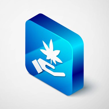 Gri arka planda izole edilmiş Isome Tıbbi marihuana veya kenevir yaprağı ikonu. Kenevir sembolü. Mavi kare düğme. Vektör İllüstrasyonu