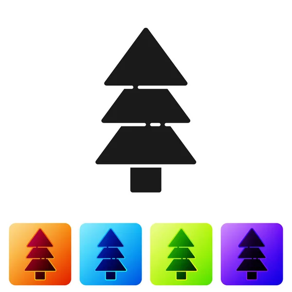Черное Дерево Значок Изолирован Белом Фоне Символ Леса Поставьте Цветные — стоковый вектор