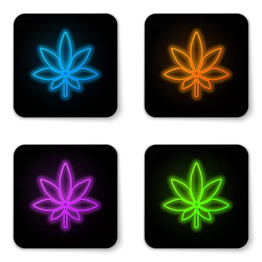 Beyaz arka planda parlayan neon neon tıbbi marihuana veya kenevir yaprağı ikonu. Kenevir sembolü. Siyah kare düğme. Vektör İllüstrasyonu