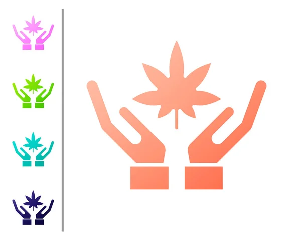 珊瑚医用大麻或大麻叶图标分离的白色背景 大麻的符号 设置彩色图标 病媒图解 — 图库矢量图片