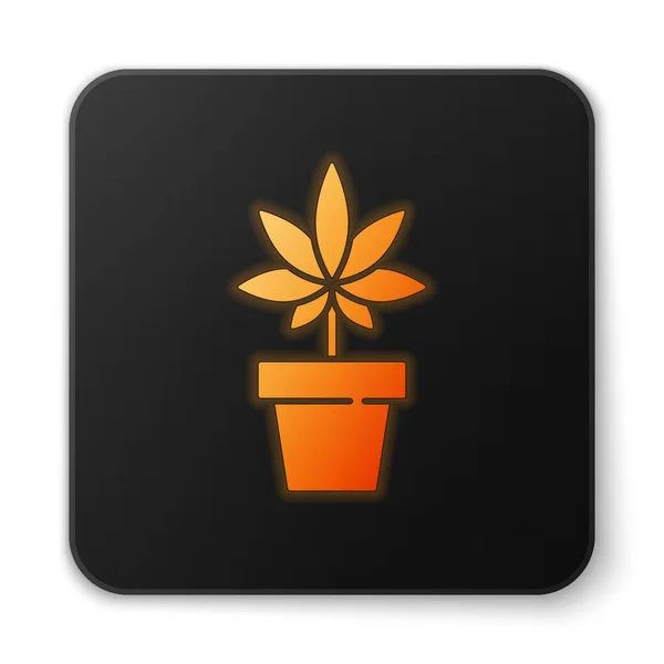 Naranja Brillante Neón Marihuana Medicinal Planta Cannabis Maceta Icono Aislado — Archivo Imágenes Vectoriales