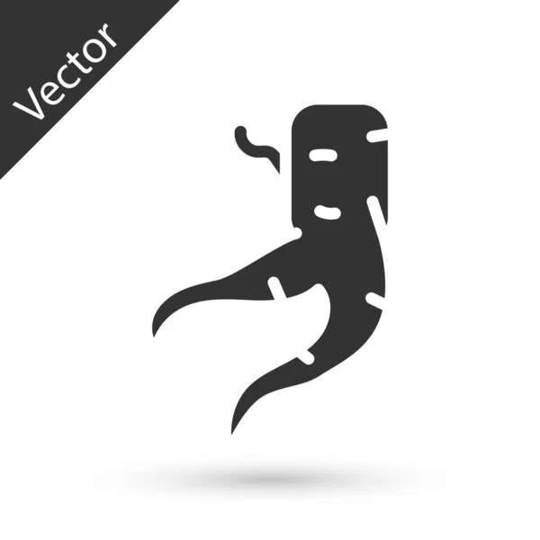 Icono Raíz Jengibre Gris Aislado Sobre Fondo Blanco Vector — Vector de stock