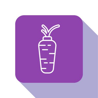 Beyaz çizgi havuç simgesi beyaz arkaplanda izole edilmiş. Mor kare düğme. Vektör.