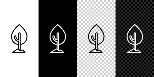 Setzen Sie Das Zeilenbaum Symbol Isoliert Auf Schwarzem Und Weißem — Stockvektor
