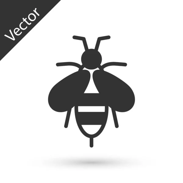 Graue Biene Symbol Isoliert Auf Weißem Hintergrund Süße Natürliche Nahrung — Stockvektor