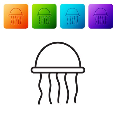 Siyah çizgi denizanası simgesi beyaz arka planda izole edilmiş. Renkli kare düğmelerle simgeleri ayarla. Vektör..