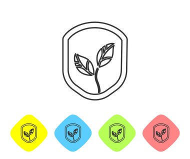 Beyaz arka planda yaprak simgesi olan gri çizgi kalkanı. Yapraklı çevre dostu güvenlik kalkanı. Renkli eşkenar dörtgen düğmelerine simgeleri yerleştir. Vektör.