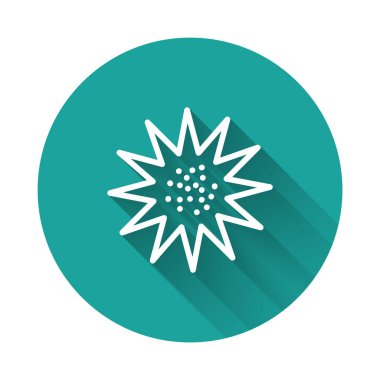 Beyaz çizgi deniz kestanesi ikonu uzun gölgeli izole edilmiş. Yeşil daire düğmesi. Vektör..