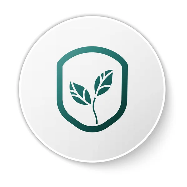 Зелений Щит Листковим Іконом Ізольованим Білому Тлі Еко Дружній Захисний — стоковий вектор