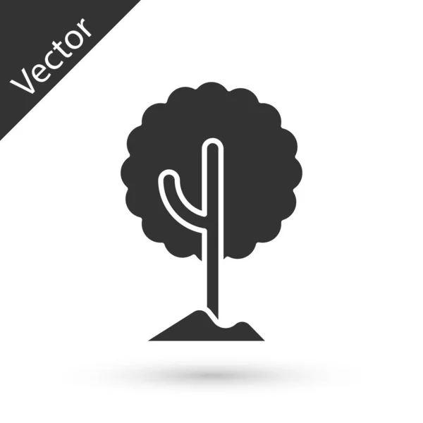 Icône Arbre Gris Isolé Sur Fond Blanc Symbole Forestier Vecteur — Image vectorielle