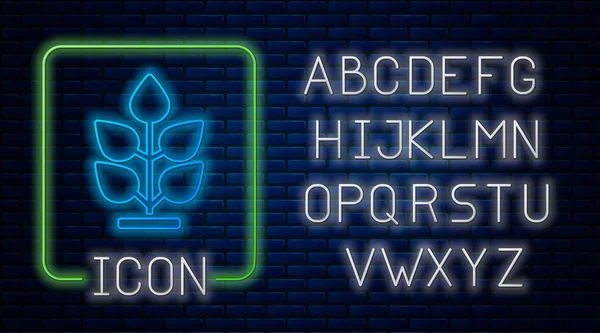 Сяючий Неоновий Значок Рослини Ізольований Фоні Цегляної Стіни Насіння Розсада — стоковий вектор