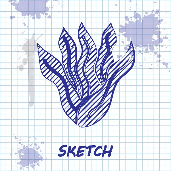 Sketch Line Seaweed Icon Isolated White Background Underwater Seaweed Spirulina — Stock Vector