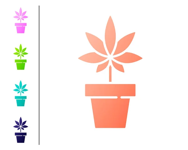 Koraal Medische Marihuana Cannabis Plant Pot Icoon Geïsoleerd Witte Achtergrond — Stockvector