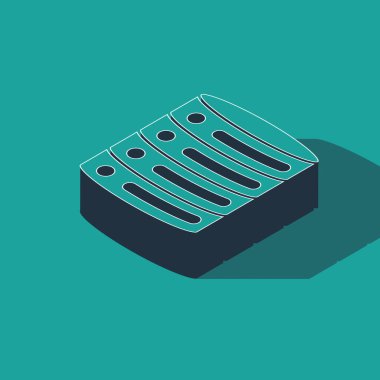Isometric Sunucu, Data, Web sunucu simgesi yeşil arkaplanda izole edildi. Vektör.