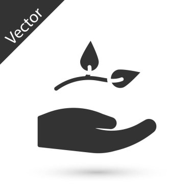 Çevre koruma ikonu Gri Yaprak beyaz arka planda izole. Tohum ve tohum. Fidan dikiyorum. Ekoloji konsepti. Vektör.