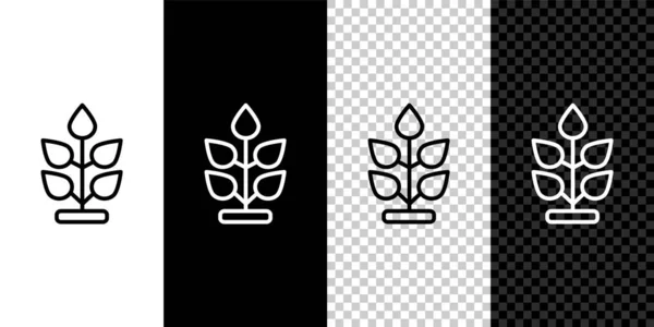 Set Line Plant Icon Isolated Black White Background Seed Seedling — Stock Vector