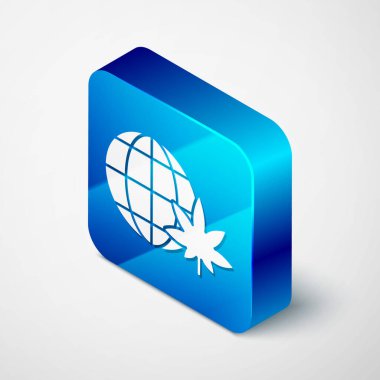 Isometric Legalize marijuana veya kenevir küresi sembolü gri arka planda izole. Kenevir sembolü. Mavi kare düğme. Vektör İllüstrasyonu.