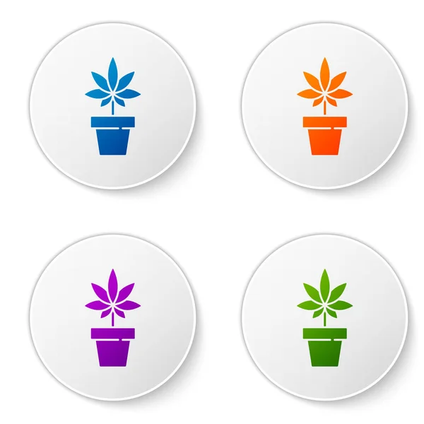 Χρώμα Ιατρική Μαριχουάνα Φυτό Κάνναβης Εικονίδιο Ποτ Απομονώνονται Λευκό Φόντο — Διανυσματικό Αρχείο