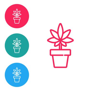 Kırmızı çizgi. Tıbbi marihuana ya da esrar bitkisi. Beyaz arka planda izole edilmiş bir esrar ikonu. Esrar yetiştirme konsepti. Kenevir saksısı. Simgeleri daire düğmelerine ayır. Vektör İllüstrasyonu.