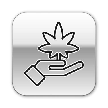 Siyah çizgi tıbbi marihuana ya da kenevir yaprağı ikonu beyaz arka planda izole edilmiş. Kenevir sembolü. Gümüş kare düğme. Vektör İllüstrasyonu.