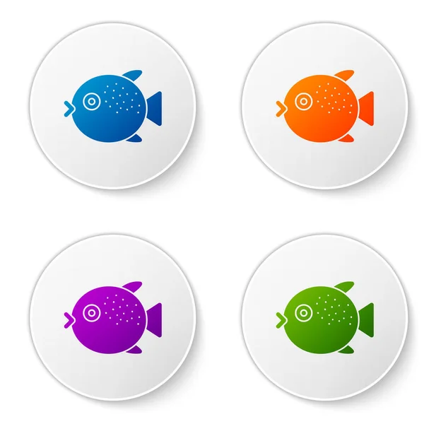 Farbe Kugelfisch Symbol Isoliert Auf Weißem Hintergrund Fugu Fisch Japanischer — Stockvektor