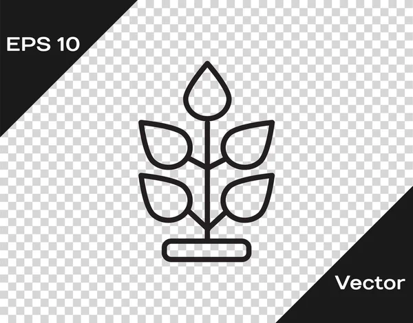 Schwarze Linie Pflanzensymbol Isoliert Auf Transparentem Hintergrund Samen Und Sämlinge — Stockvektor