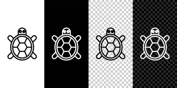 Значок Черепахи Выделен Черно Белом Фоне Вектор — стоковый вектор