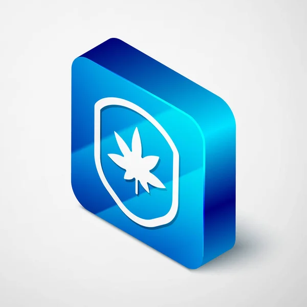Isometric Shield Icône Marijuana Feuille Cannabis Isolé Sur Fond Gris — Image vectorielle
