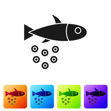 Beyaz arka planda izole edilmiş havyar ikonlu siyah balık. Renkli kare düğmelerle simgeleri ayarla. Vektör..