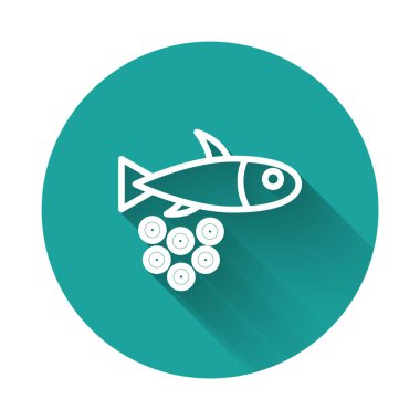 Havyar ikonlu beyaz çizgi balıklar uzun gölgeli izole edilmiş. Yeşil daire düğmesi. Vektör..