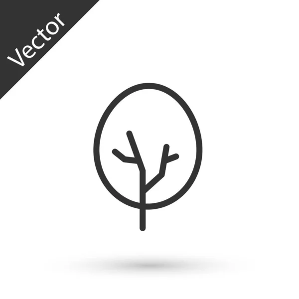 Icono Árbol Línea Gris Aislado Sobre Fondo Blanco Símbolo Forestal — Vector de stock