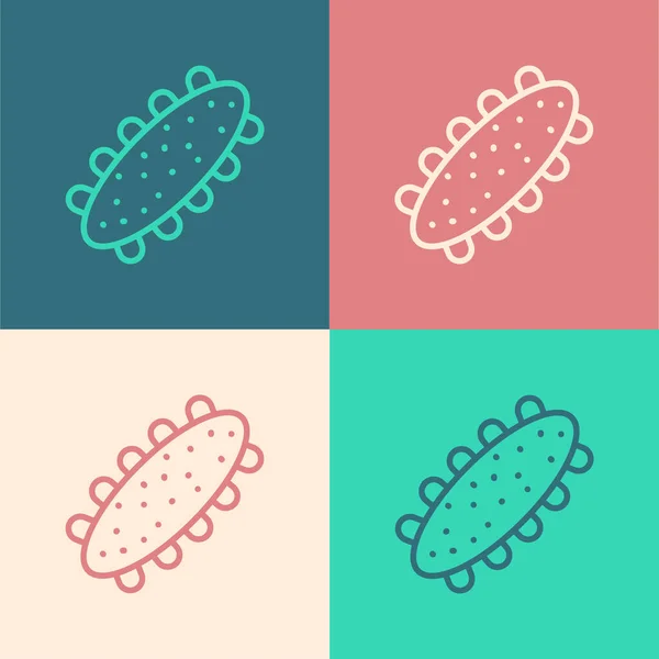 爆米花线海参图标孤立于色彩背景 海洋食物 — 图库矢量图片