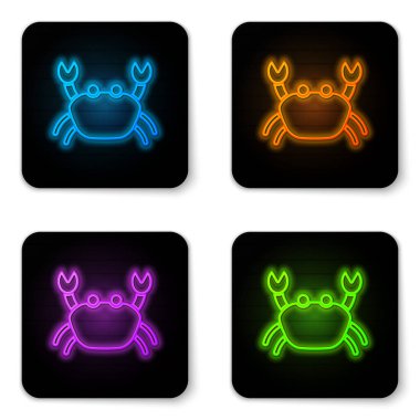 Parlayan neon yengeç simgesi beyaz arkaplanda izole edildi. Siyah kare düğme. Vektör..