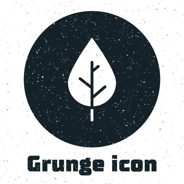 Grunge Leaf Ikone Isoliert Auf Weißem Hintergrund Symbol Für Frisches — Stockvektor