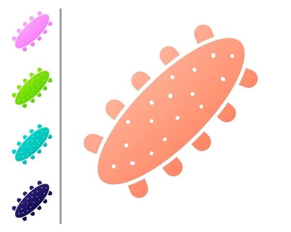 珊瑚海黄瓜图标孤立在白色背景 海洋食物 设置彩色图标 — 图库矢量图片
