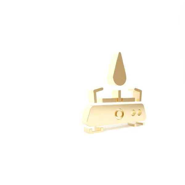 Gold Camping gas stove icon isolated on white background. Portable gas burner. Hiking, camping equipment. 3d illustration 3D render — Stock Photo, Image