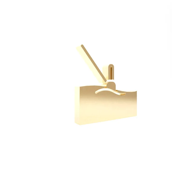ゴールドフィッシングは、白い背景に隔離されたウォーターアイコンに浮かびます。釣りに取り組む。3Dイラスト3Dレンダリング — ストック写真